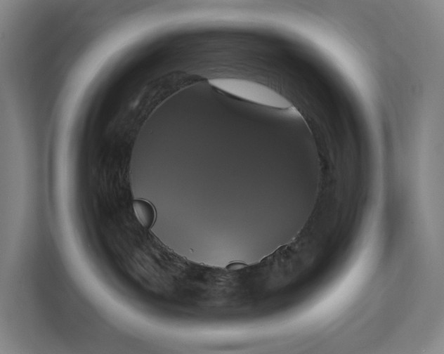 X0000111440143200907201136