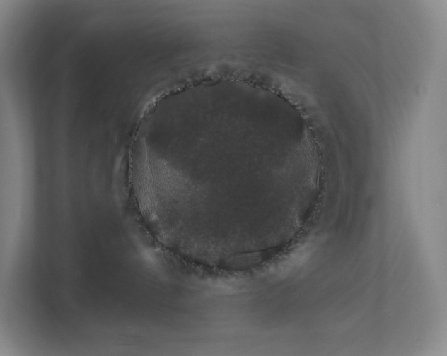 X0000111440144200907201136