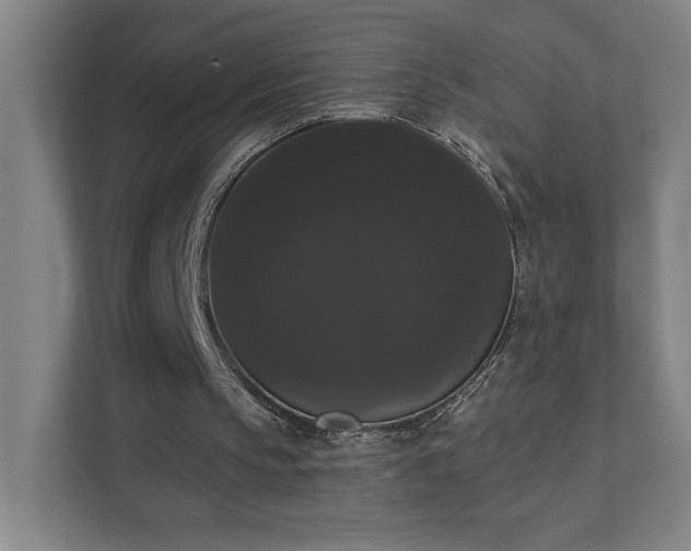 X0000111440145200907201135