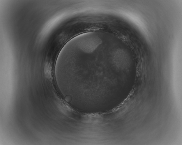 X0000111440146200907201135