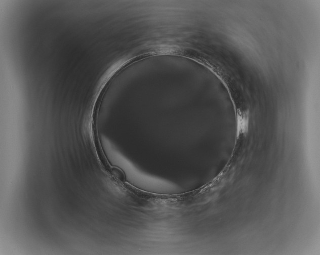 X0000111440147200907201135