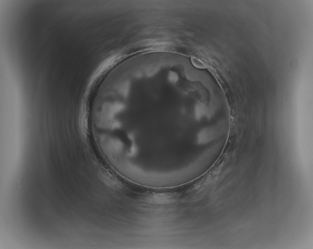 X0000111440149200907201135