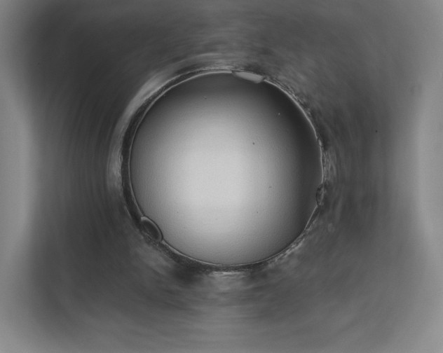 X0000111440150200907201135