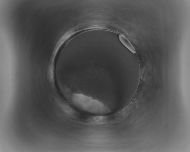 X0000111440152200907201135