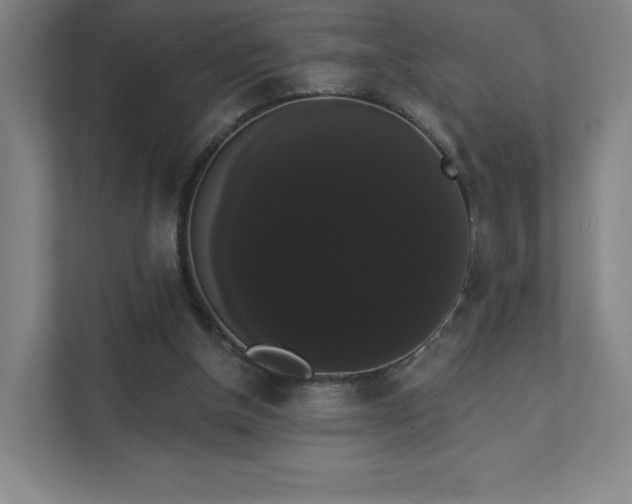 X0000111440154200907201136