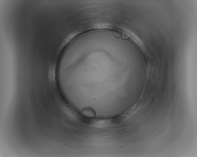 X0000111440155200907201136