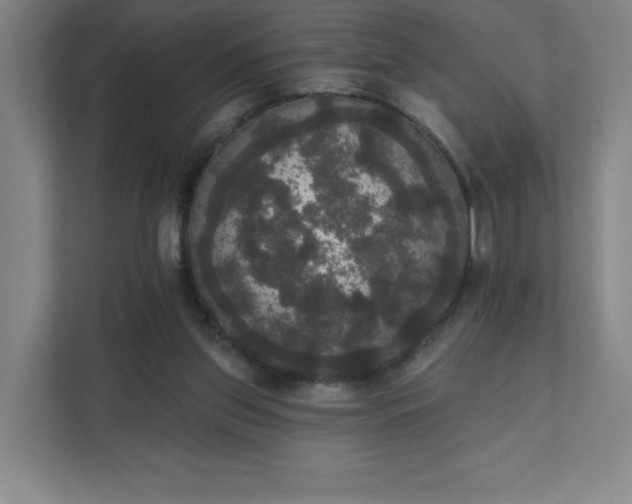 X0000111440157200907201136