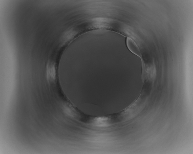 X0000111440158200907201136