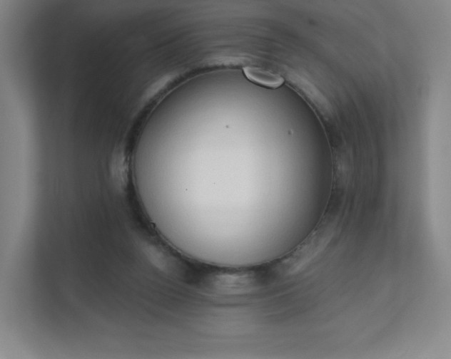 X0000111440160200907201136