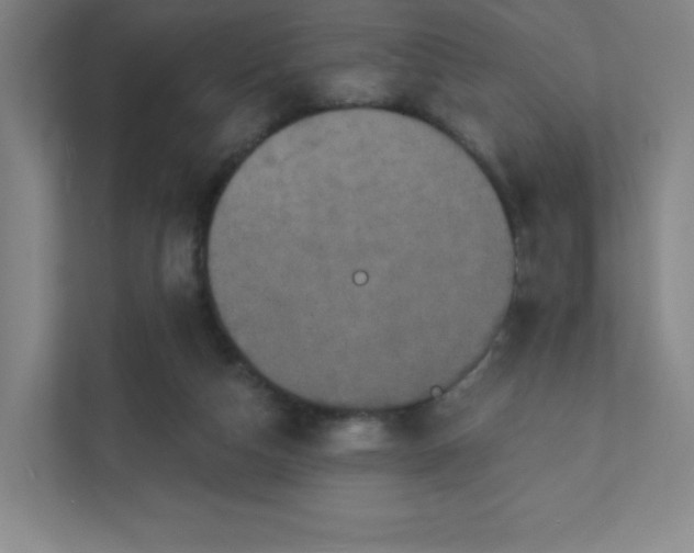 X0000111440162200907201136