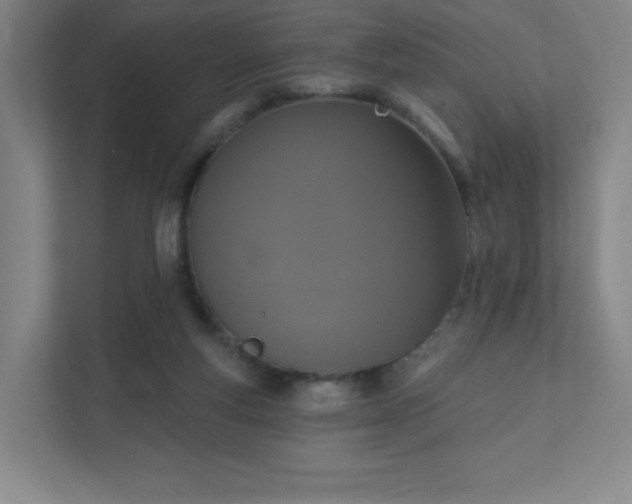 X0000111440163200907201136