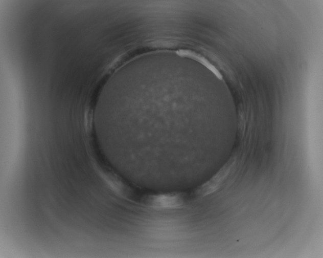 X0000111440168200907201136