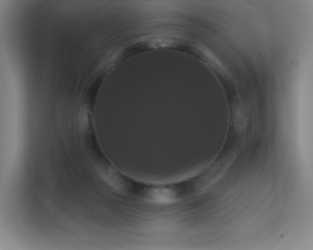 X0000111440169200907201136