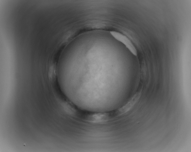 X0000111440172200907201136