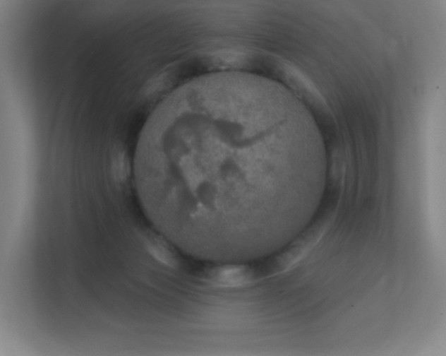 X0000111440173200907201136