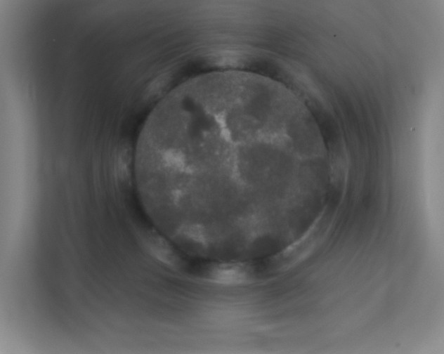 X0000111440175200907201136