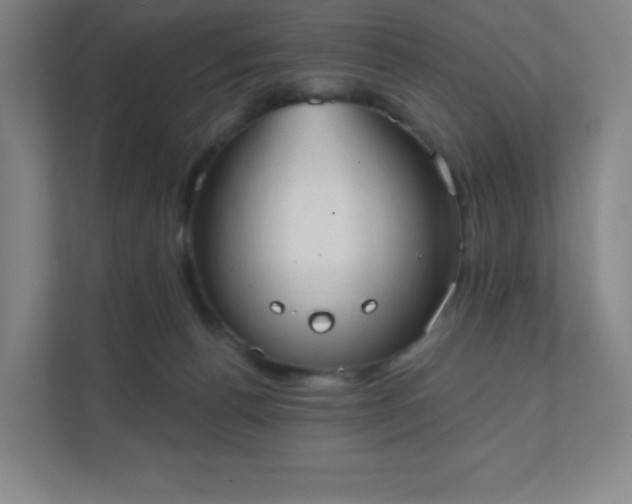 X0000111440176200907201136