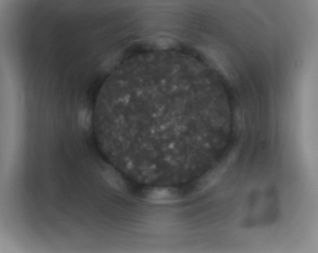 X0000111440177200907201136