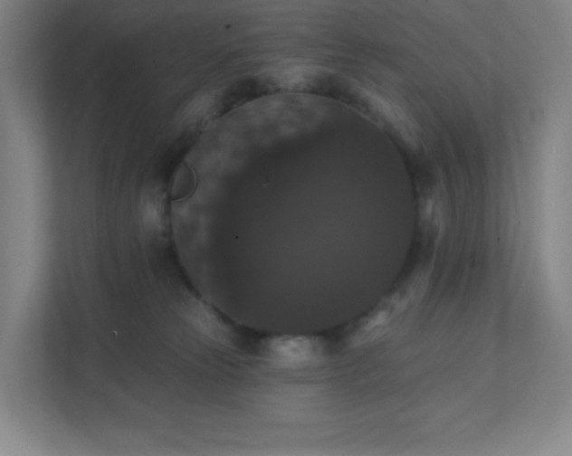 X0000111440181200907201136