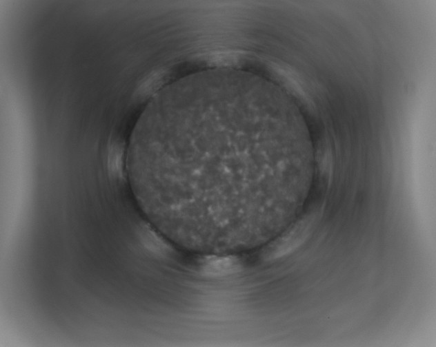 X0000111440185200907201136