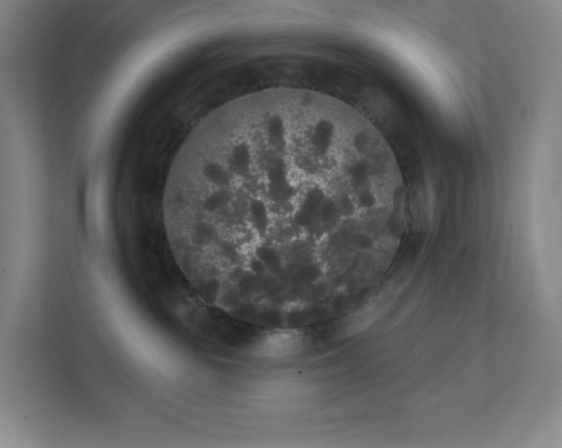 X0000111440189200907201136