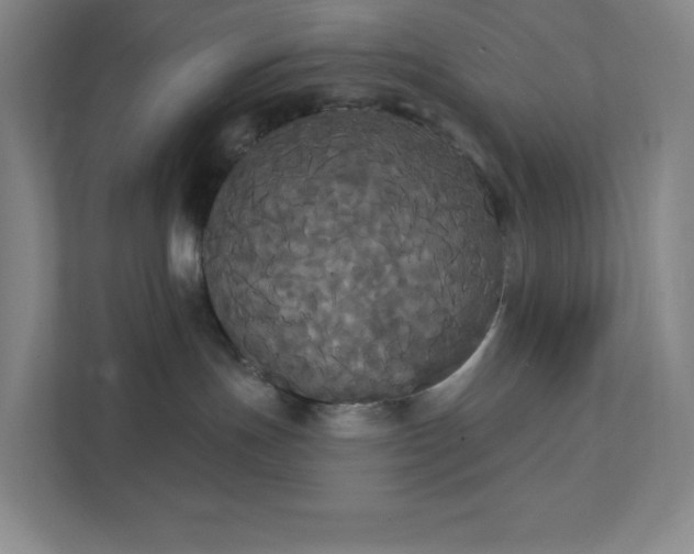 X0000111440191200907201136