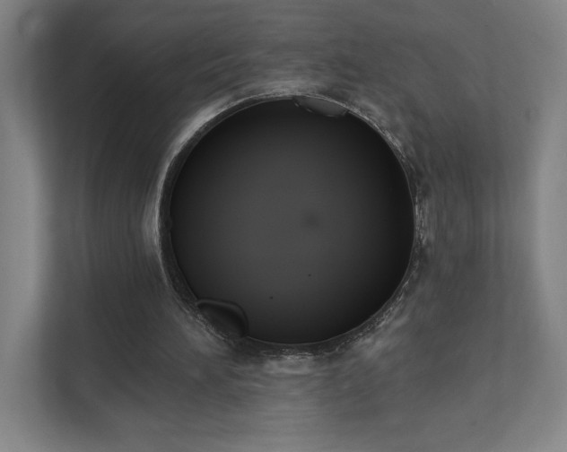 X0000111440196200907201135