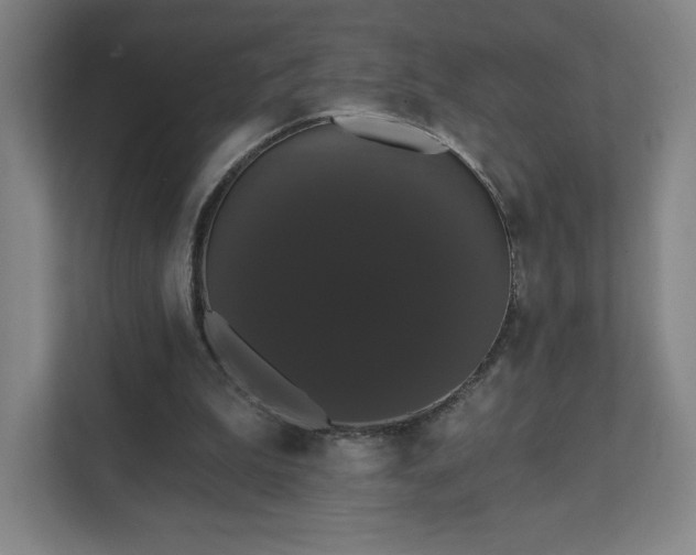 X0000111440199200907201135