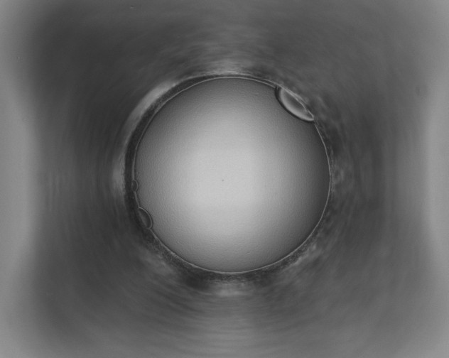 X0000111440200200907201135