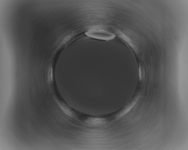 X0000111440205200907201135