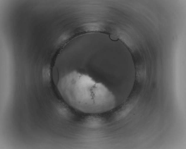 X0000111440207200907201135