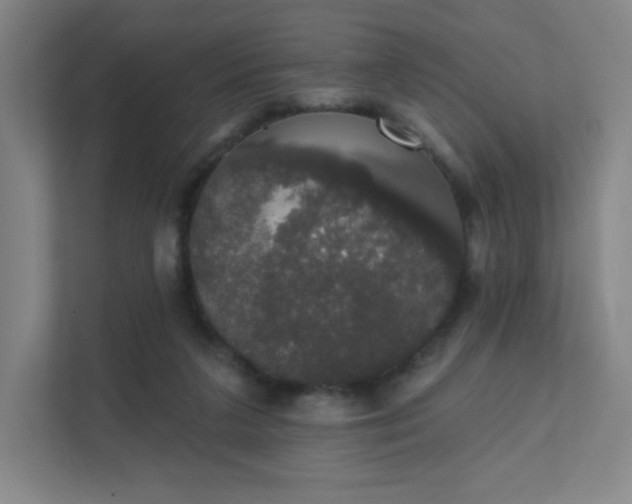 X0000111440211200907201135