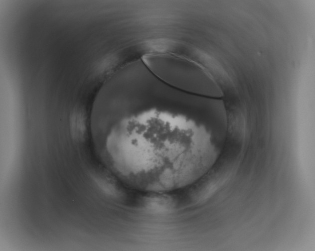 X0000111440215200907201135