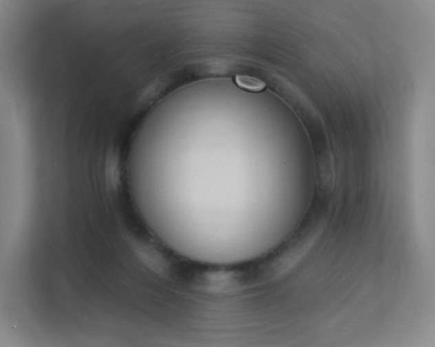 X0000111440216200907201135