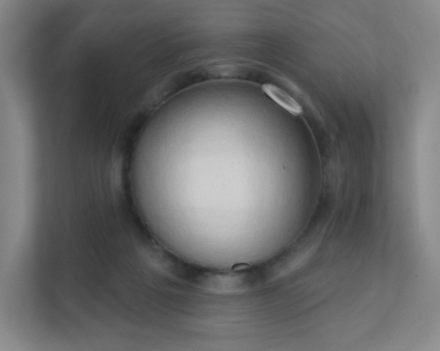 X0000111440217200907201135