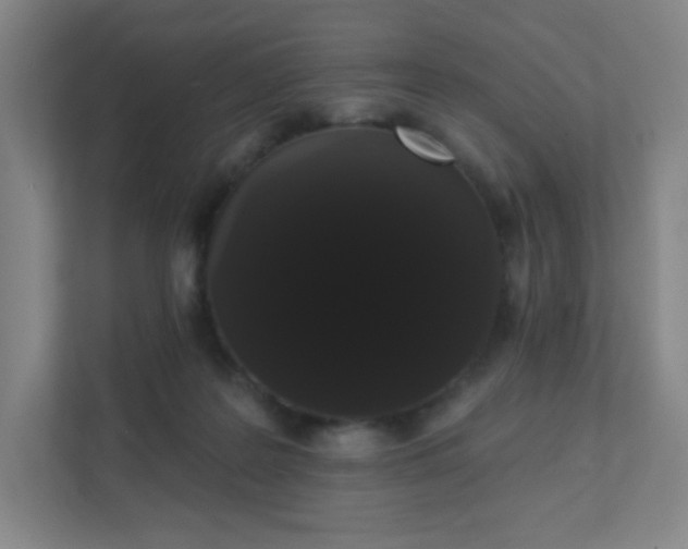 X0000111440219200907201135