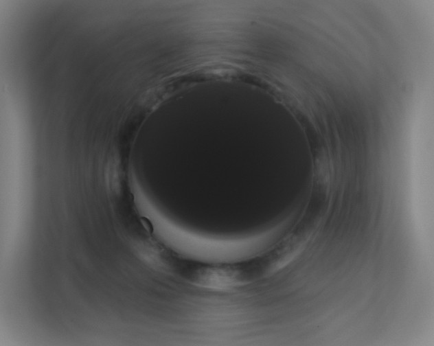 X0000111440223200907201135