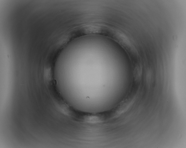 X0000111440224200907201135