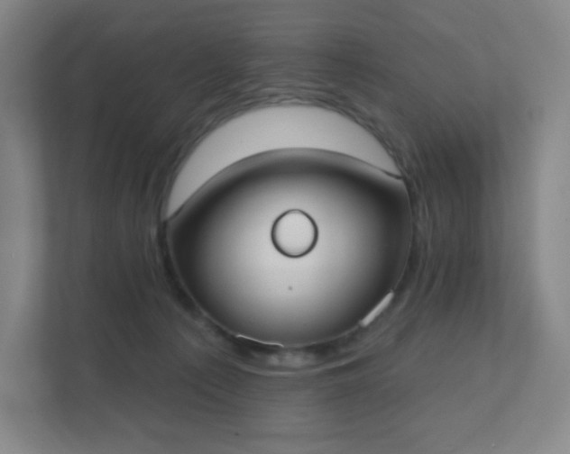 X0000111440225200907201135