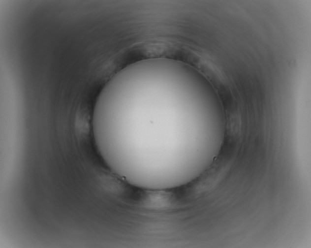 X0000111440226200907201135