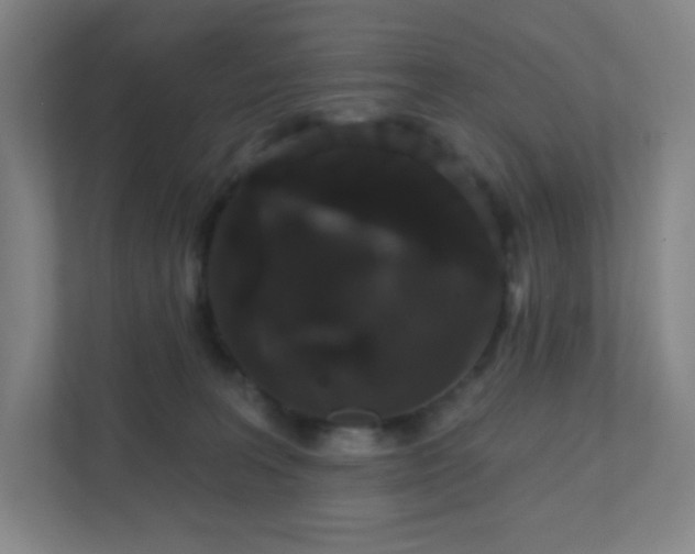 X0000111440227200907201135