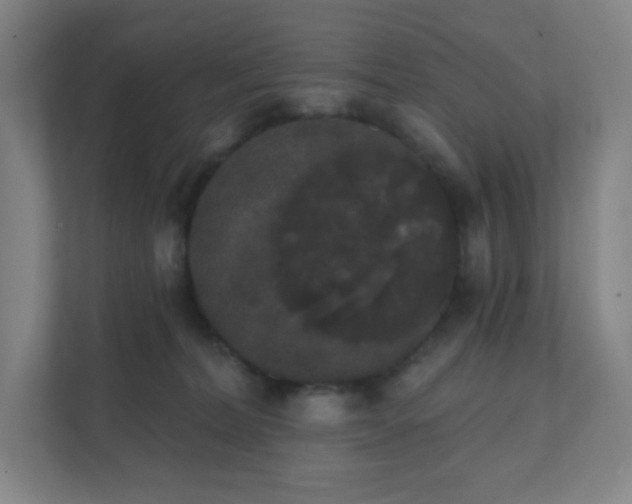 X0000111440228200907201135