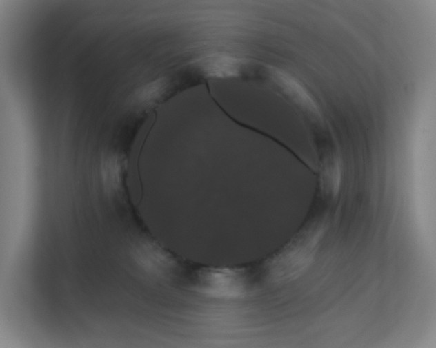 X0000111440229200907201135