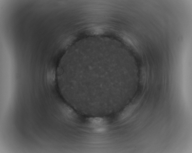 X0000111440230200907201135