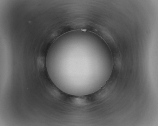 X0000111440232200907201135