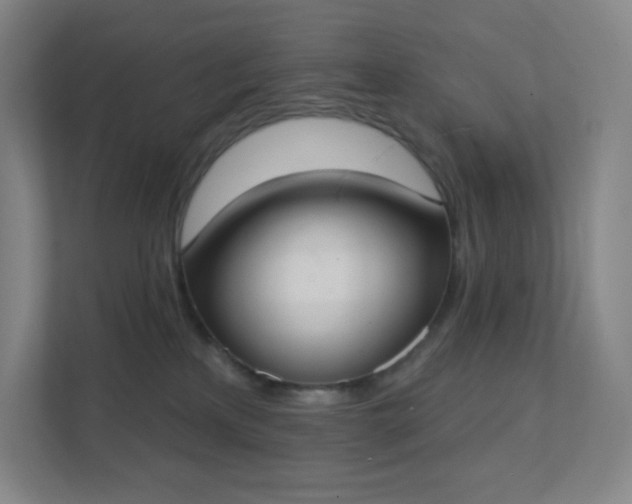 X0000111440233200907201135