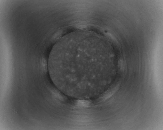 X0000111440234200907201135