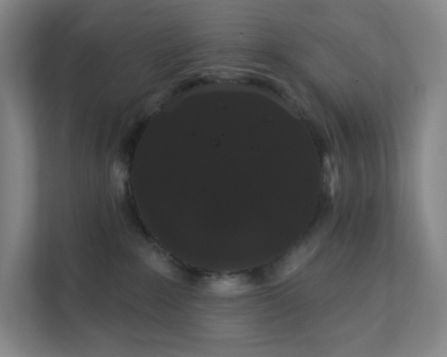 X0000111440235200907201135