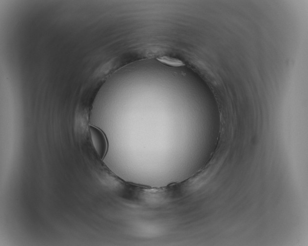 X0000111440240200907201135