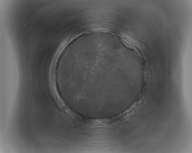 X0000111440241200907201134